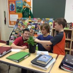 6th grade students measure plant growth during a 5E lesson on competition.